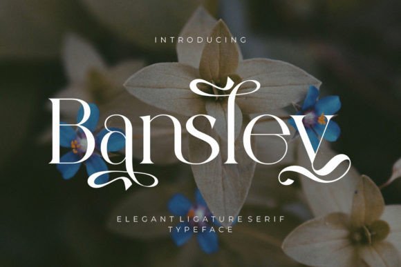Bansley Serif Font for Crafters