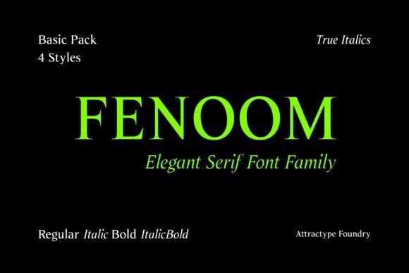 Fenoom: The Serif Font That Elevates Campaigns