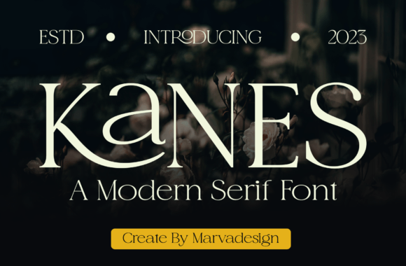 Kanes Serif Font: A Web Designer’s Review