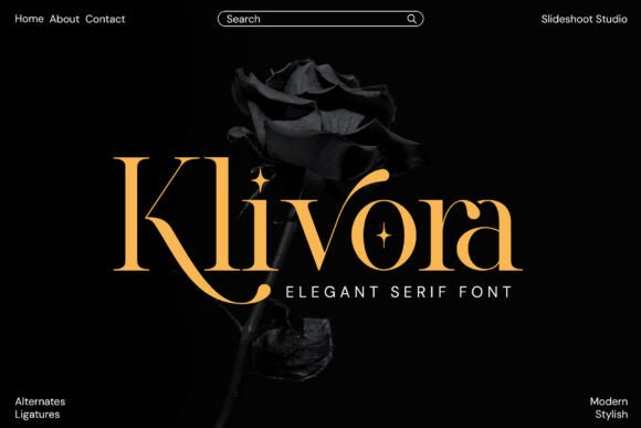 Klivora: A Designer’s Honest Review for Branding