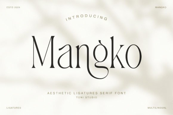 Mangko: The Serif Typeface for Modern Branding