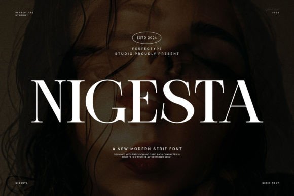 Nigesta: A Serif Typeface for Clear Campaigns