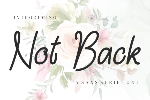 Not Back Font: A Modern Sans Serif for Makers