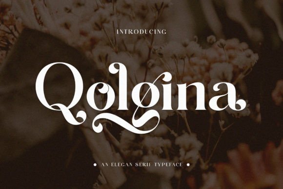 Qolgina: The Serif Typeface That Elevates Branding