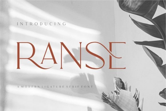 Ranse Serif Font for Crafters