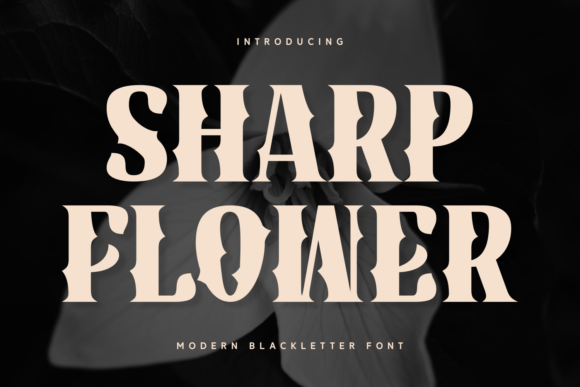 Sharp Flower: A Blackletter Font for Digital Design