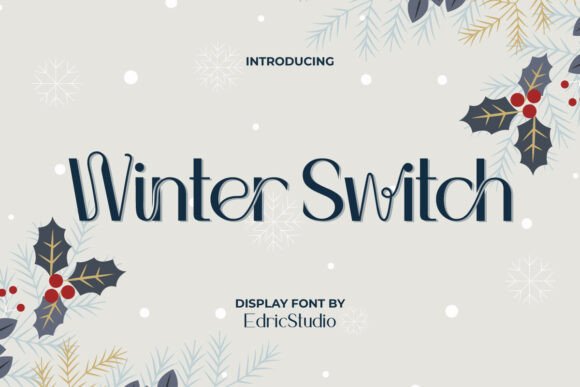 Winter Switch Font: A Digital Designer’s Review